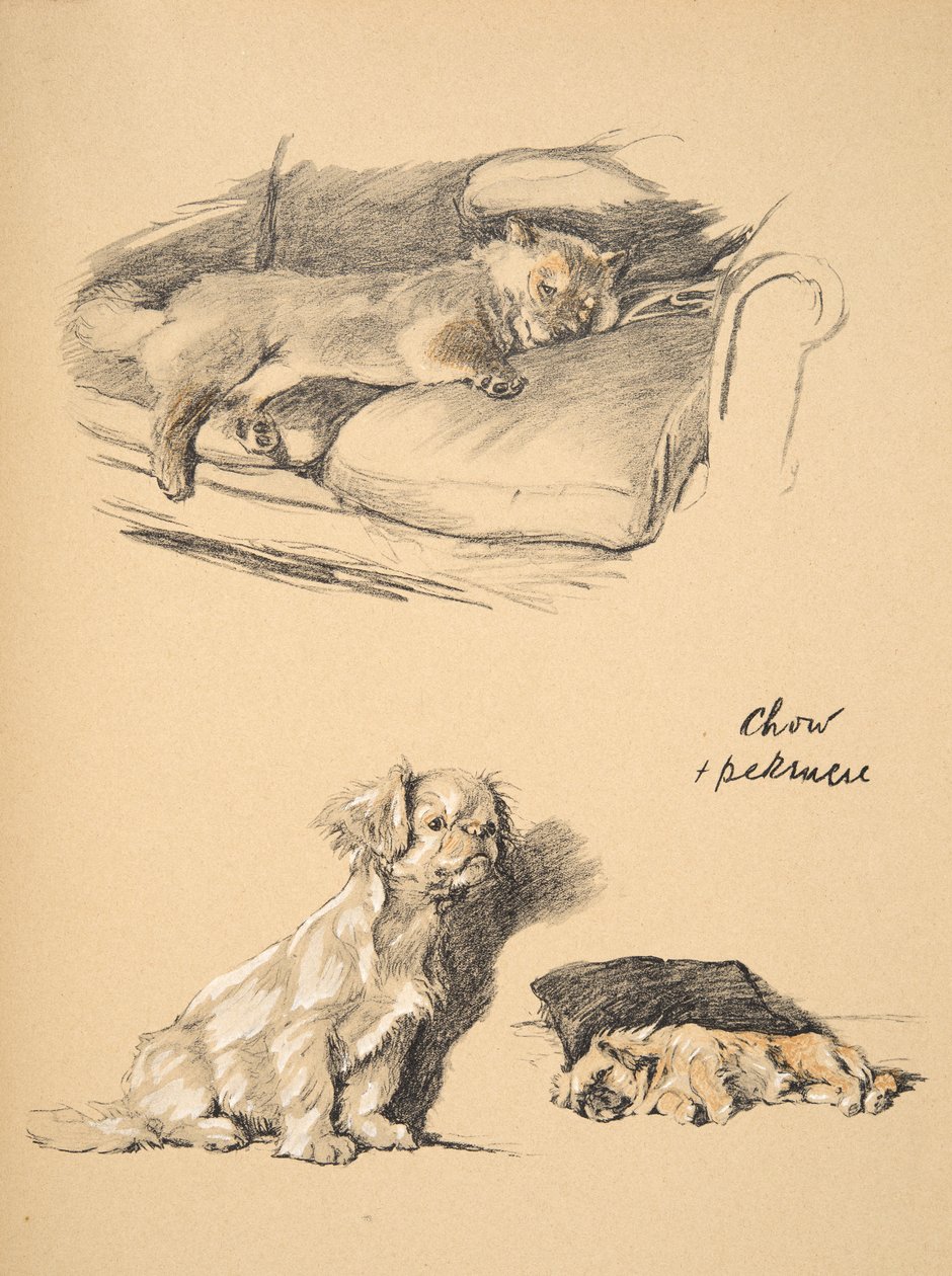 Chow and Pekinese, 1930, illustrasjoner fra skisseboken hans brukt for 