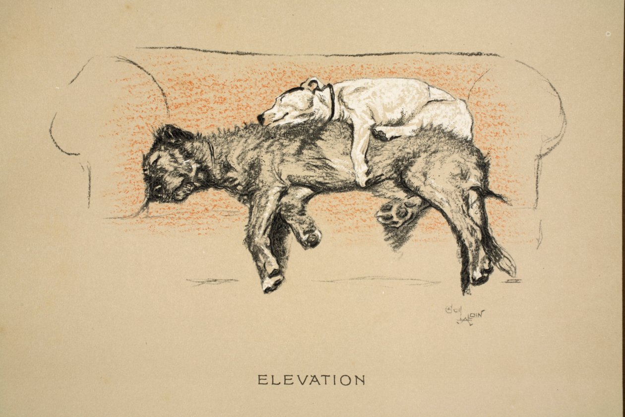 Elevation, 1930, 1. utgave av 'Sleeping Partners', Aldin, Cecil Charles Windsor (1870-1935), utgitt av Eyre og Spottiswoode Limited, Chalk and Charcoal på papir av Cecil Charles Windsor Aldin