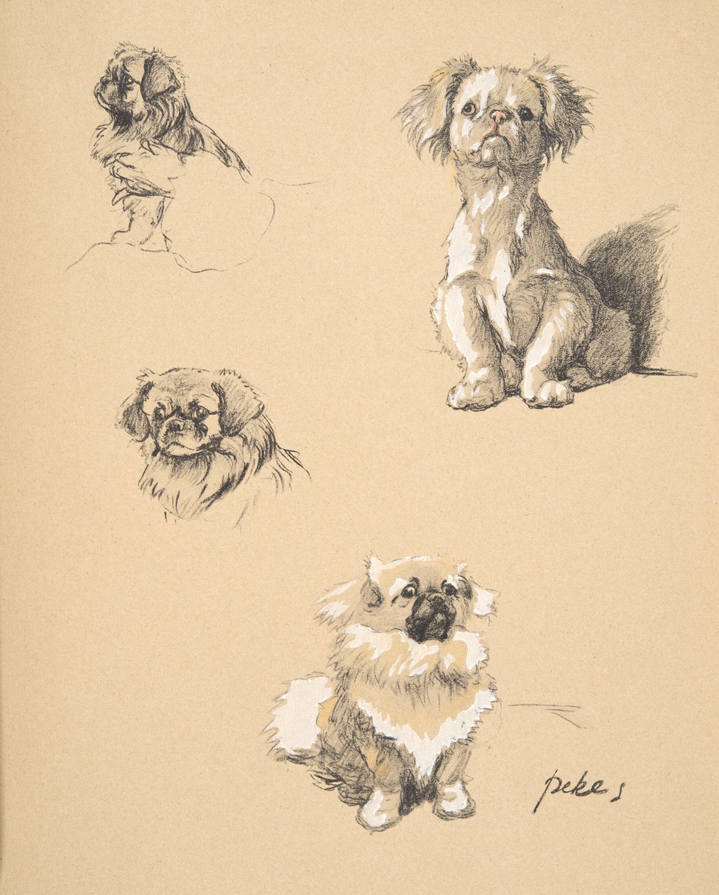 Pekes, 1930, Illustrasjoner fra skisseboken hans brukt til 