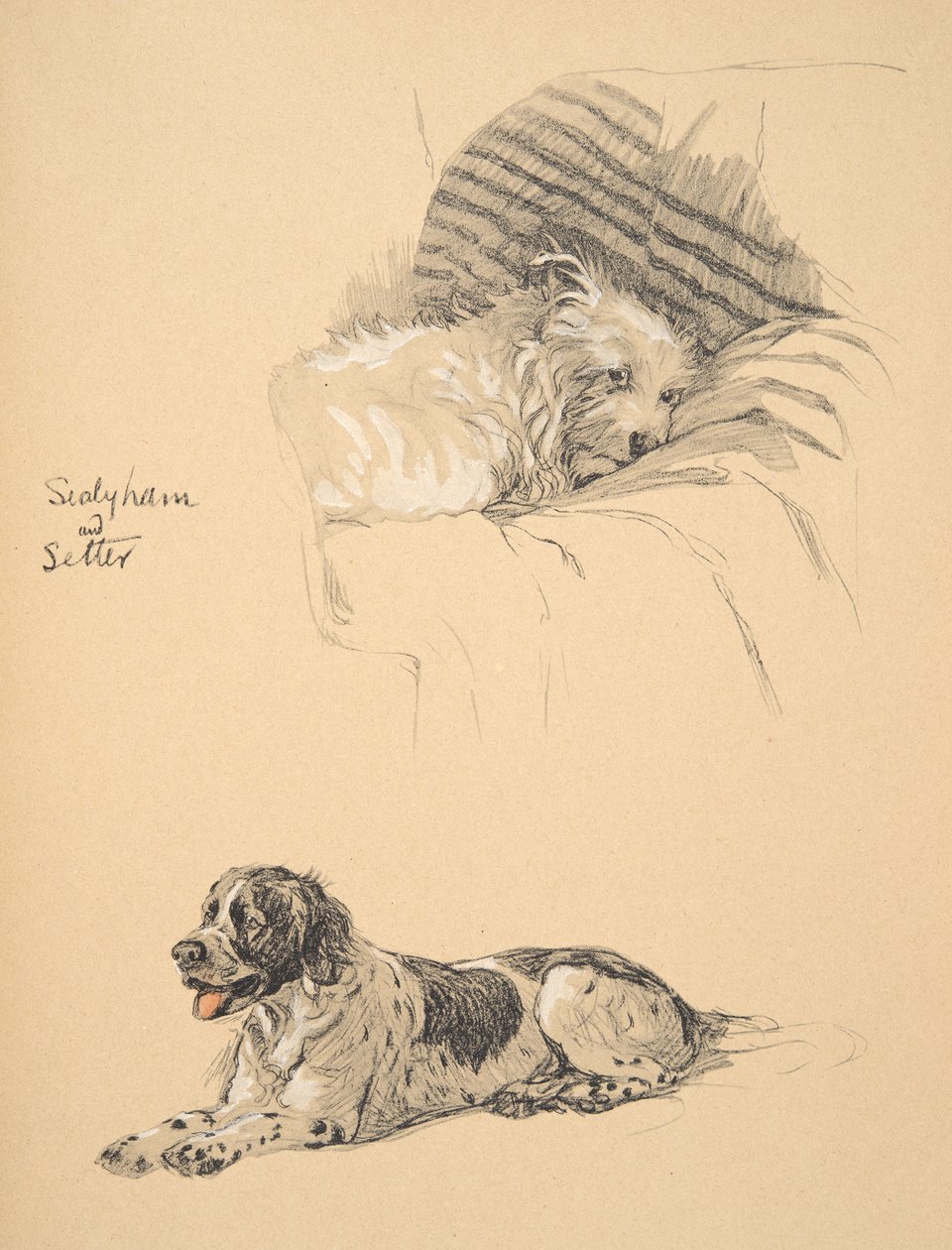 Sealyham and Setter, 1930, illustrasjoner fra skisseboken hans brukt for 