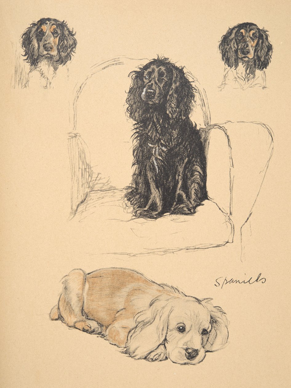 Spaniels, 1930, illustrasjoner fra skisseboken hans brukt for 