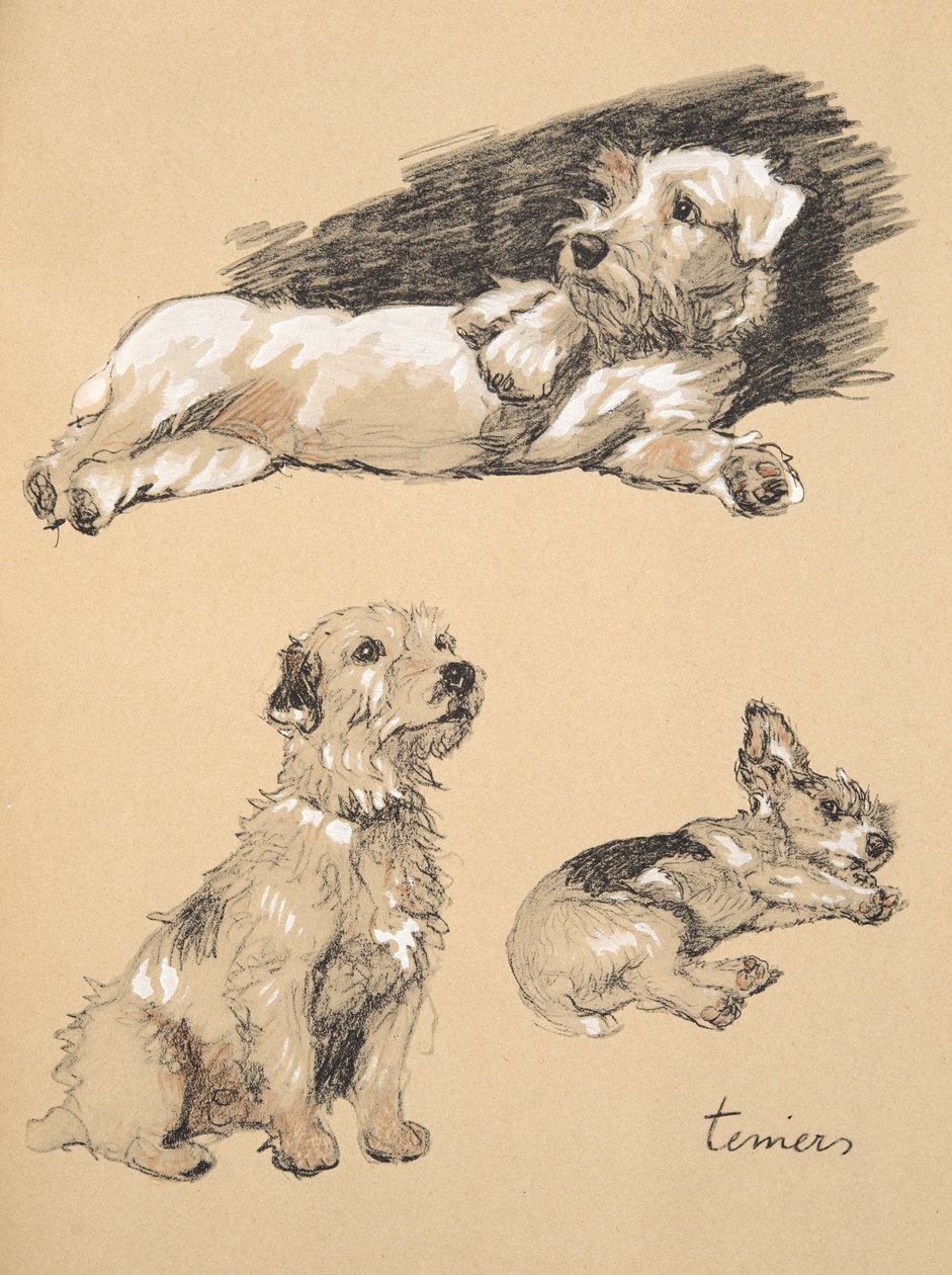 Terriers, 1930, illustrasjoner fra skisseboken hans brukt til 