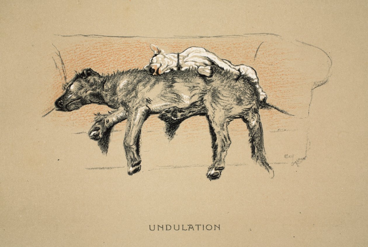 Undulation, 1930, 1. utgave av 'Sleeping Partners', Aldin, Cecil Charles Windsor (1870-1935), utgitt av Eyre og Spottiswoode Limited, Chalk and Charcoal på papir av Cecil Charles Windsor Aldin