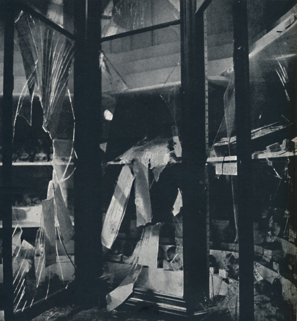 Utstillingssaker i Naturhistorisk museum, 1941 av Cecil Beaton