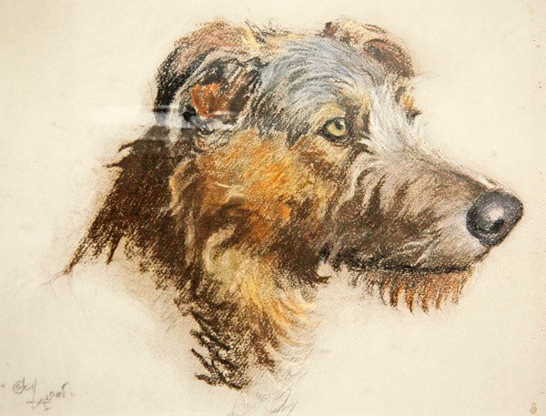 En skotsk hjortehund (pastell på tonet papir) av Cecil Charles Windsor Aldin