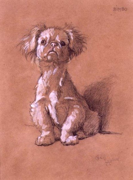 Bimbo (blyant og gouache på papir) av Cecil Charles Windsor Aldin