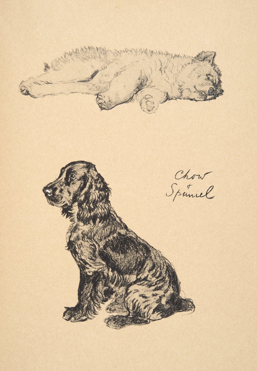 Chow and Spaniel, 1930, illustrasjoner fra skisseboken hans brukt for 