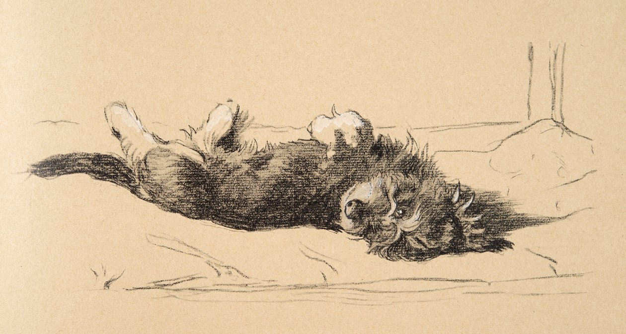 Rough Daschund Puppy Detail, 1930, illustrasjoner fra skisseboken hans brukt for Just Among Friends, Aldin, Cecil Charles Windsor (1870-1935), senere utgitt av Eyre og Spottiswoode Limited, 1934, Cha av Cecil Charles Windsor Aldin