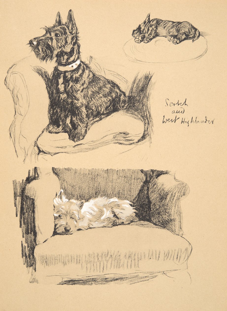 Scotch and West Highlander, 1930, Illustrasjoner fra Sketch Book brukt for Just Among Friends, Aldin, Cecil Charles Windsor (1870-1935), senere utgitt av Eyre og Spottiswoode Limited, 1934, Chal av Cecil Charles Windsor Aldin