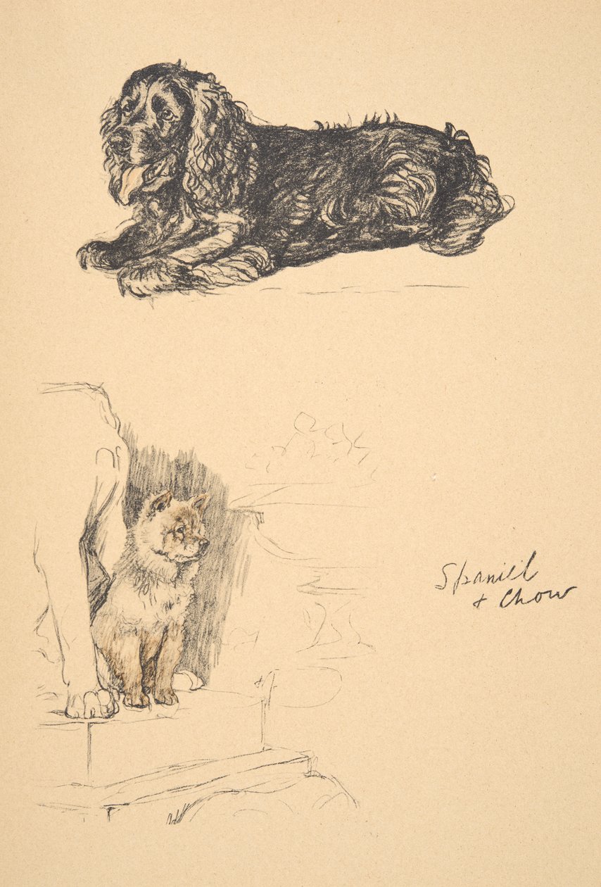 Spaniel and Chow, 1930, illustrasjoner fra skisseboken hans brukt for Just Among Friends, Aldin, Cecil Charles Windsor (1870-1935), senere utgitt av Eyre og Spottiswoode Limited, 1934, Chalk and Char av Cecil Charles Windsor Aldin