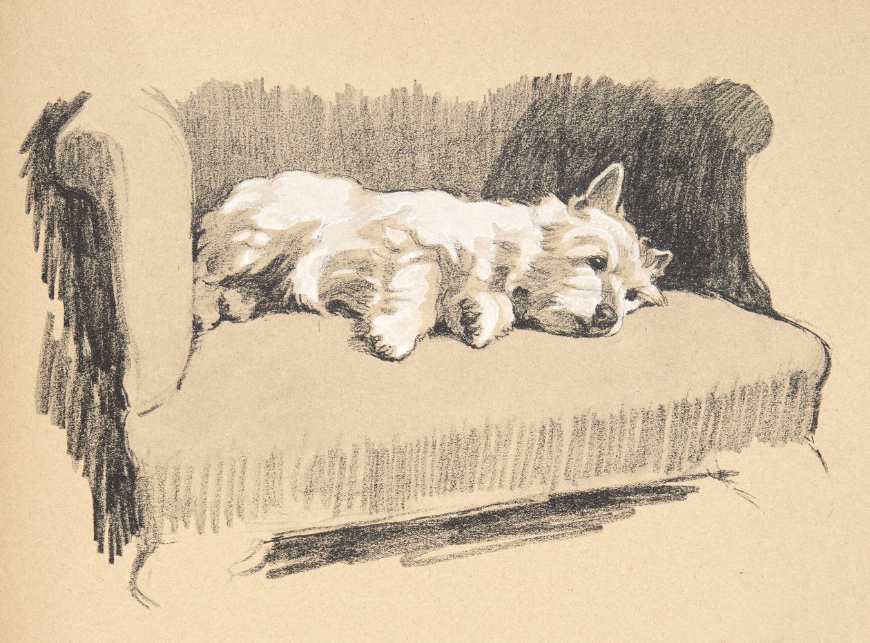 West Highlander, 1930, illustrasjoner fra skisseboken hans brukt til 'Just Among Friends', Aldin, Cecil Charles Windsor (1870-1935), senere utgitt av Eyre og Spottiswoode Limited, 1934, Chalk and Cha av Cecil Charles Windsor Aldin