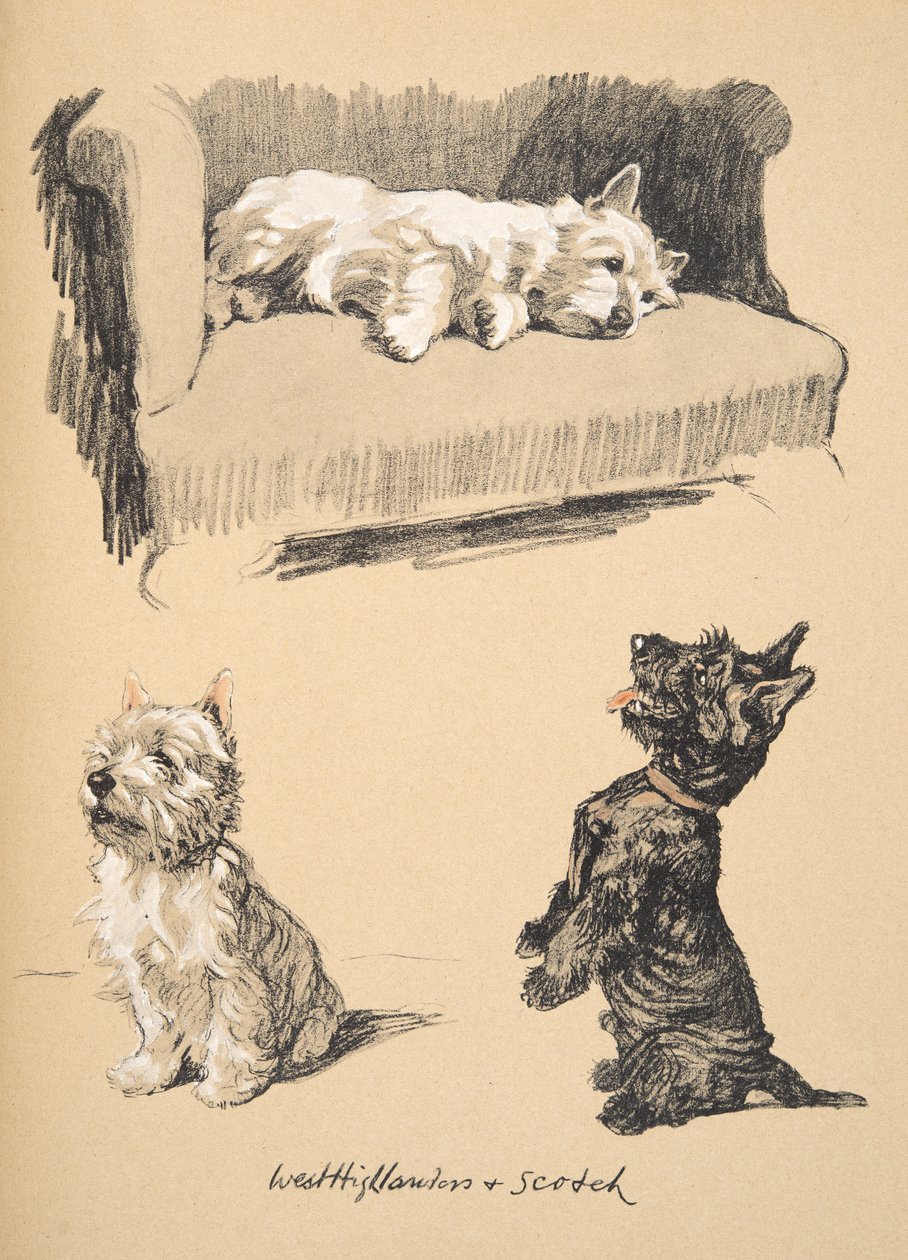 West Highlanders and Scotch, 1930, Illustrasjoner fra Sketch Book brukt for Just Among Friends, senere utgitt av Eyre og Spottiswoode Limited, 1934 (kritt og kull på papir) av Cecil Charles Windsor Aldin