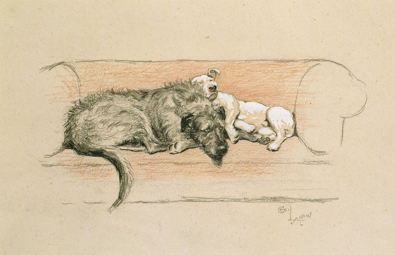 Ulvehund og Bull Terrier sover på en sofa (pastell på papir) av Cecil Charles Windsor Aldin