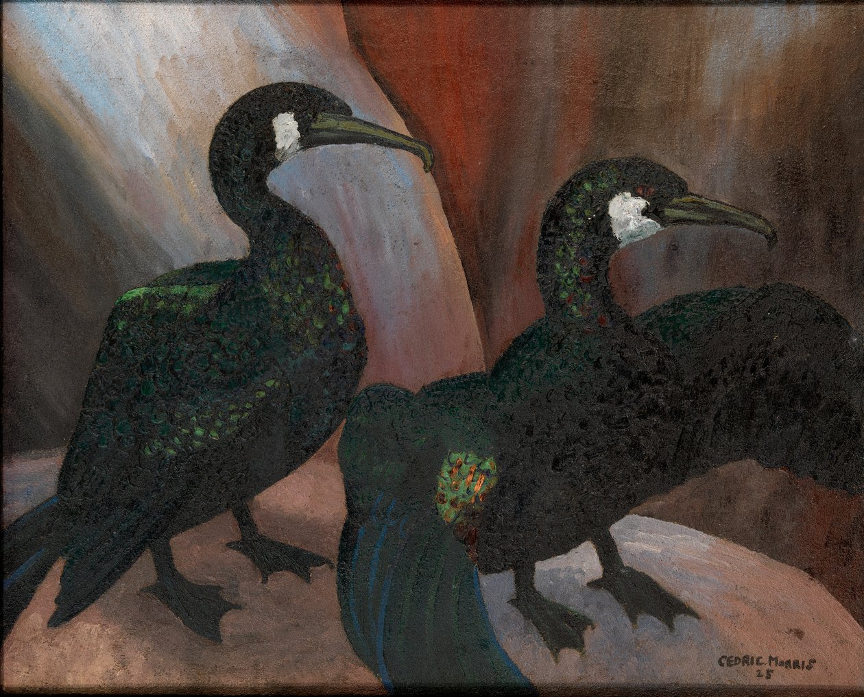 Grønne skarv av Cedric Morris
