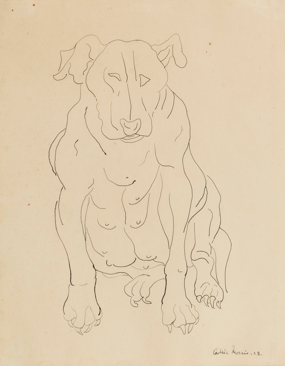 Nancy Morris sin oksehund av Cedric Morris