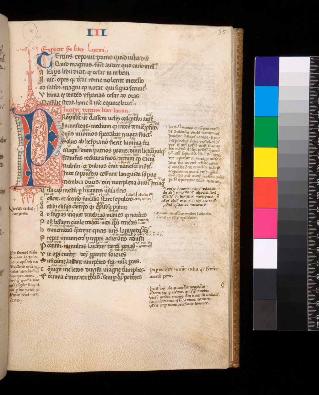 Ms 325. Lucan, Bellum Civile og andre verk, f.35r. Delt initial [P] i rødt og blått med kontrasterende penn, ca. 1353 (pergament) av Central Italian School