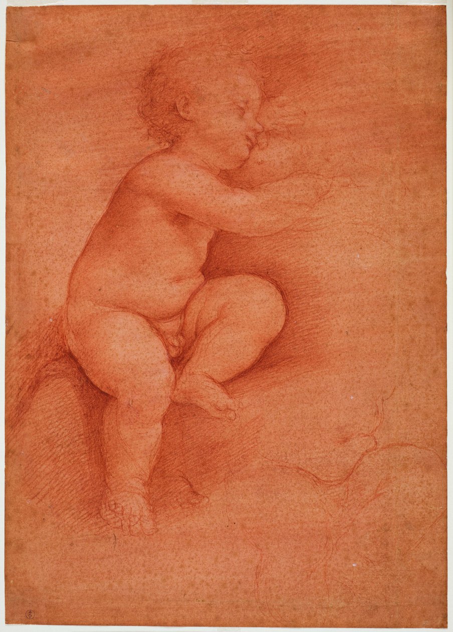 Studie av putto (Baby Jesus), tidlig på 1500-tallet (blod på rødt forberedt papir) av Cesare da Sesto