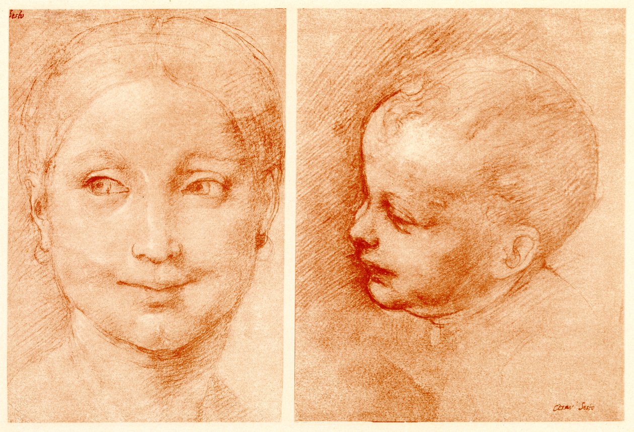 Hodestudier av Cesare da Sesto