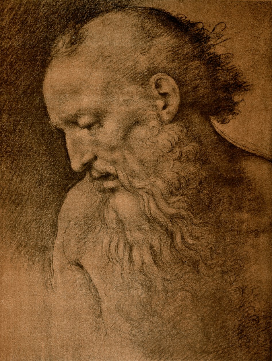 Gå til St. Jerome av Cesare da Sesto