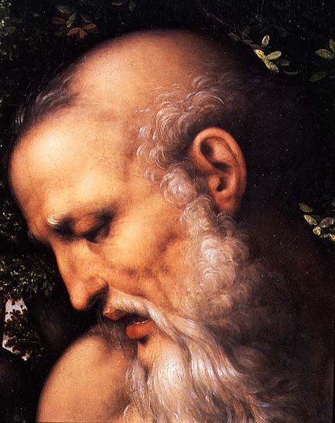 St. Hieronymus, detalj av helgenens hode (olje på panel) (detalj av 112517) av Cesare da Sesto