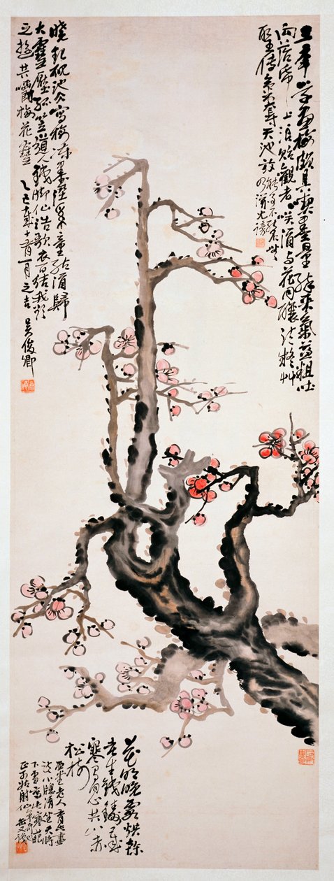 Røde plommeblomster, 1905 av Changshuo Wu