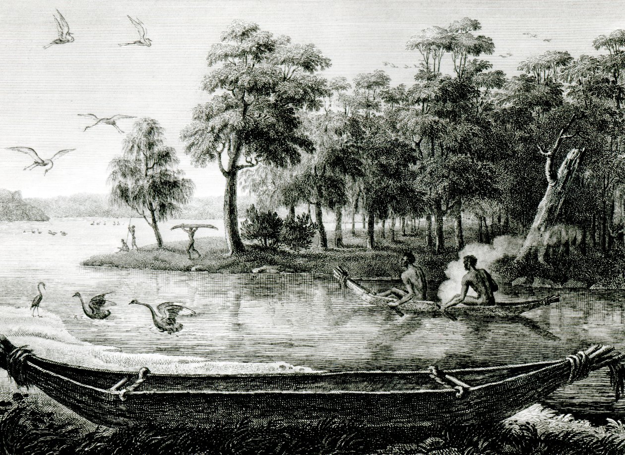 New Holland: New South Wales av Charles Alexandre Lesueur