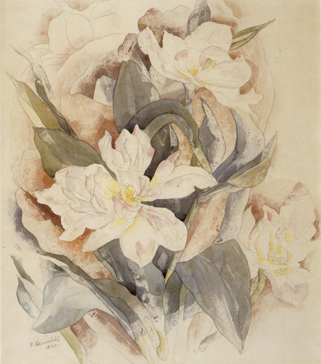 Flower Study av Charles Demuth