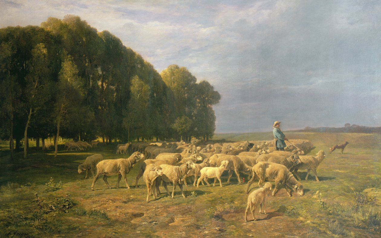 Saueflokk i et landskap av Charles Emile Jacque