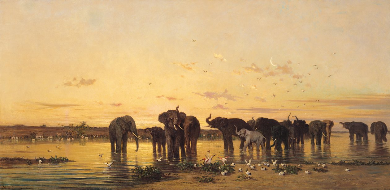 Afrikanske elefanter av Charles Émile de Tournemine