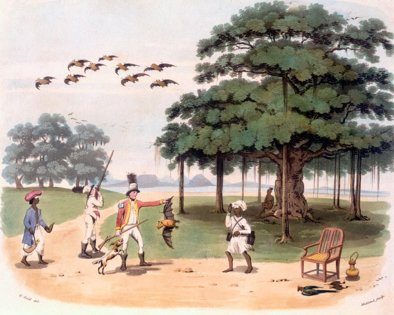 Flyvende rever ved Banyantree, ca. 1791-98 (fargeakvatint) av Charles Emilius Gold