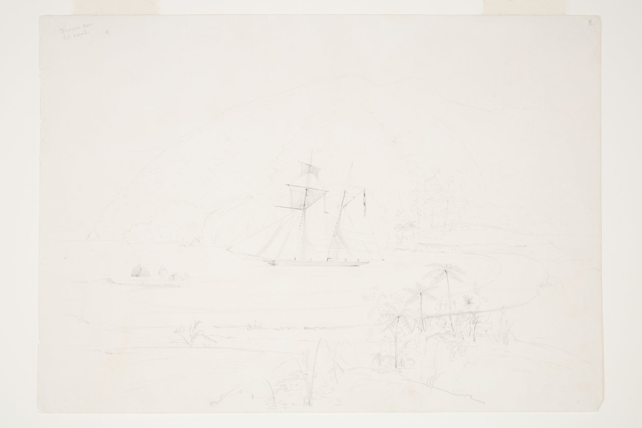 Flatfish Cove Q.C. Lyd av Charles Heaphy