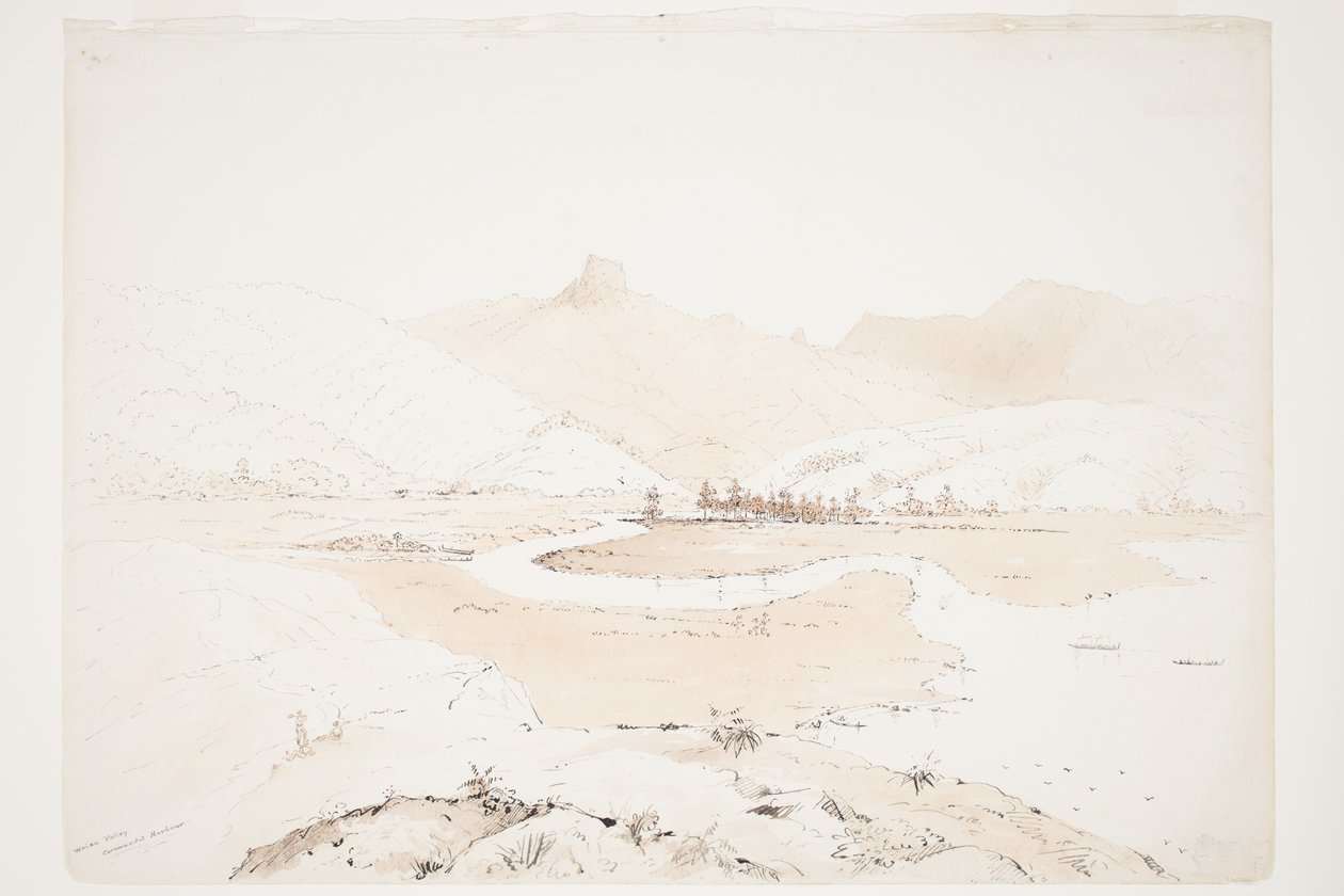 Waiau Valley Coromandel havn av Charles Heaphy