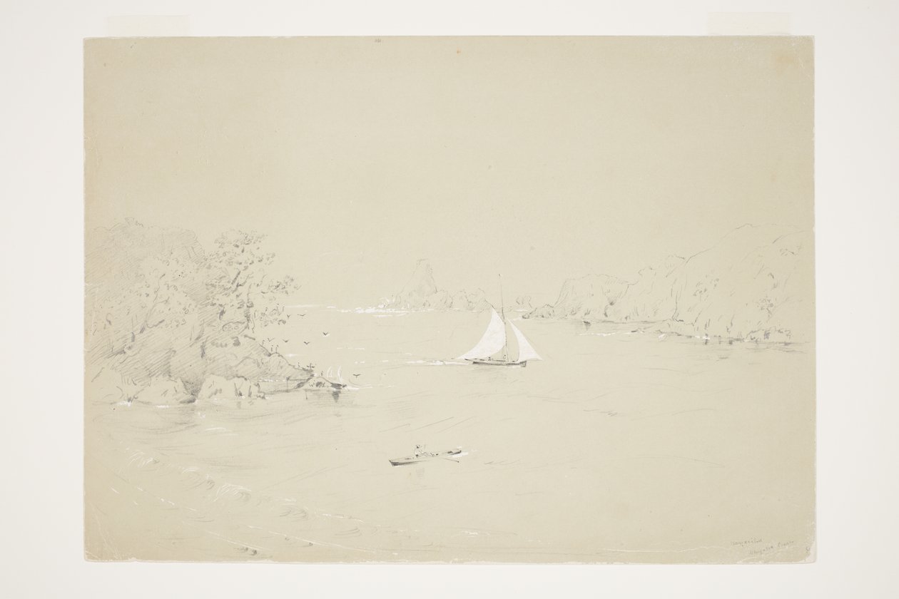 Wangaaihu Wangaroa-kysten av Charles Heaphy