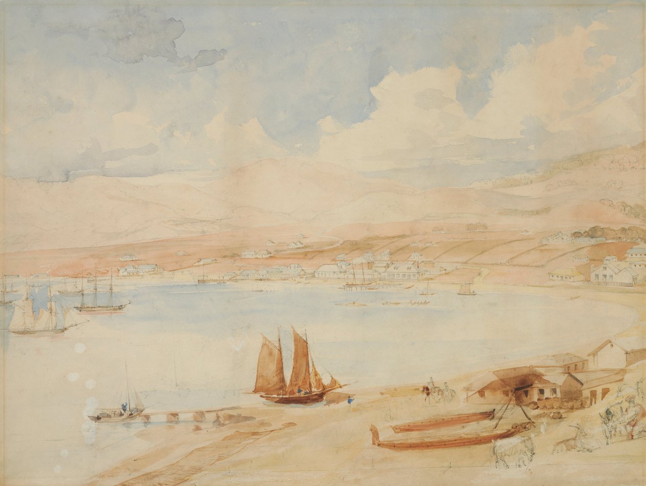 Wellington Harbour, N.Z. av Charles Heaphy