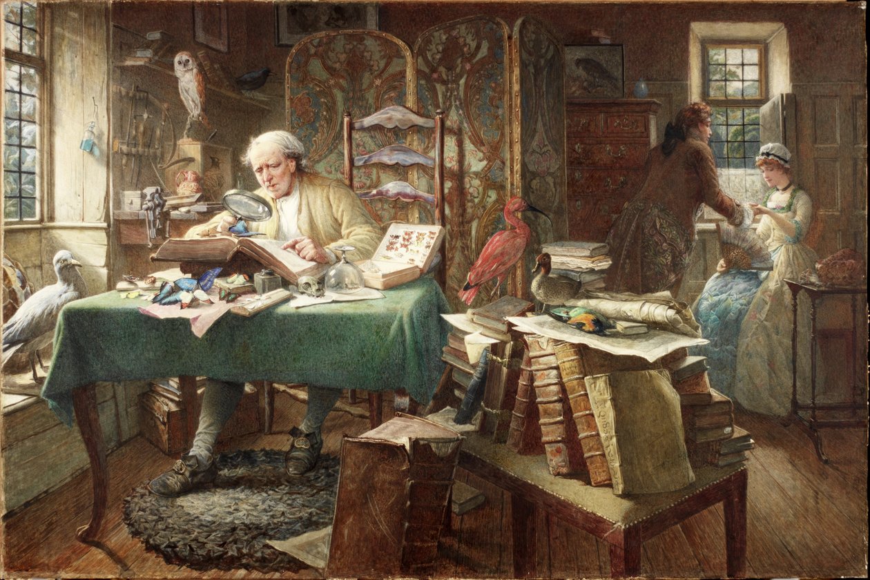 Grubs og sommerfugler (akvarell på papir) av Charles J. Staniland