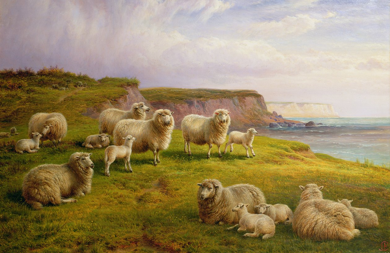 Sauer på en Dorset Coast av Charles Jones