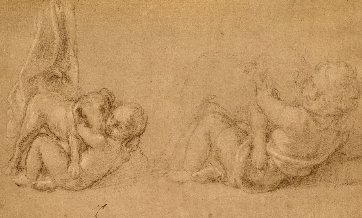 Studie av et barn med en hund (blyant og fargestift på papir) av Charles Le Brun