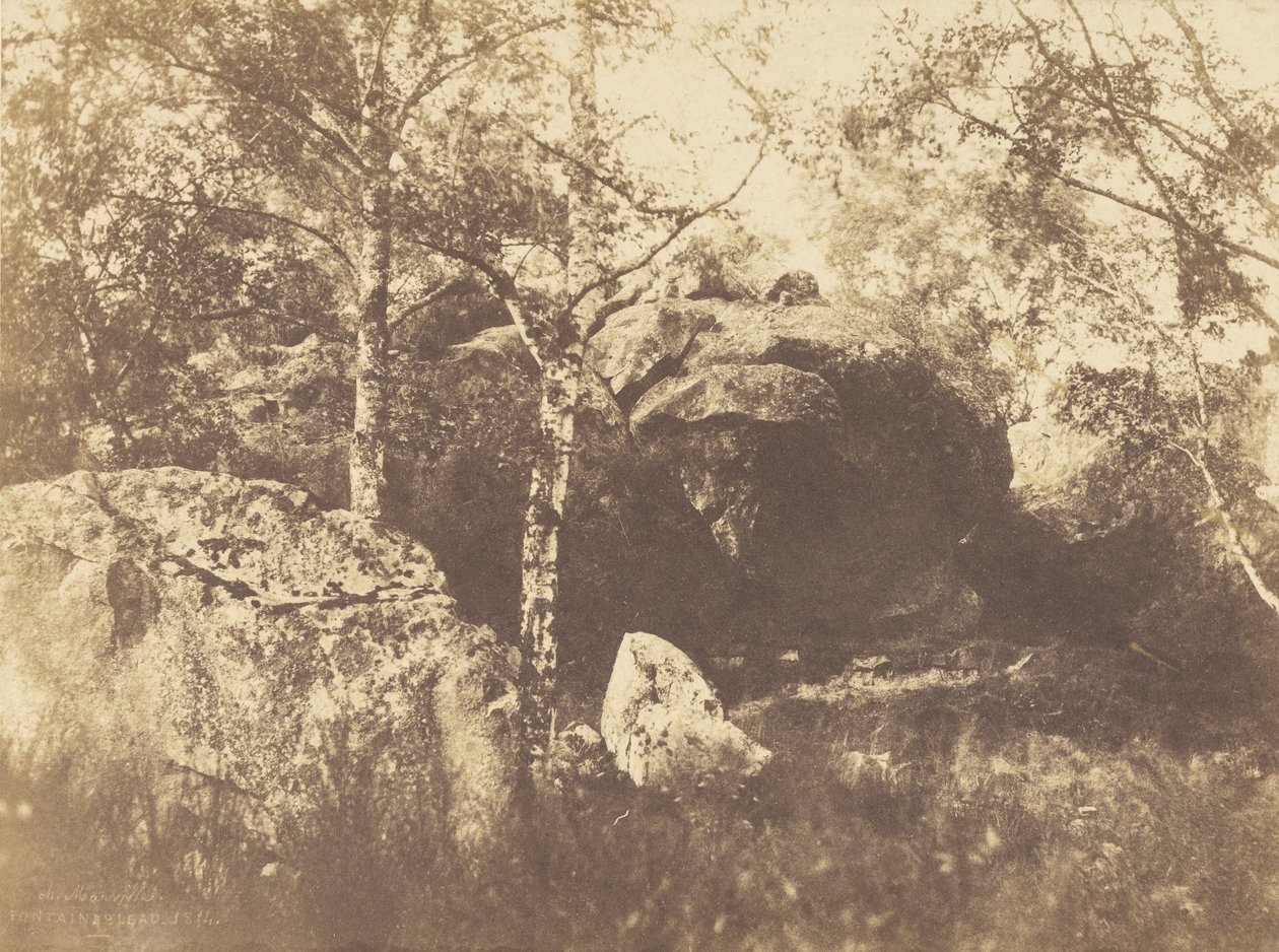 Fontainebleau av Charles Marville