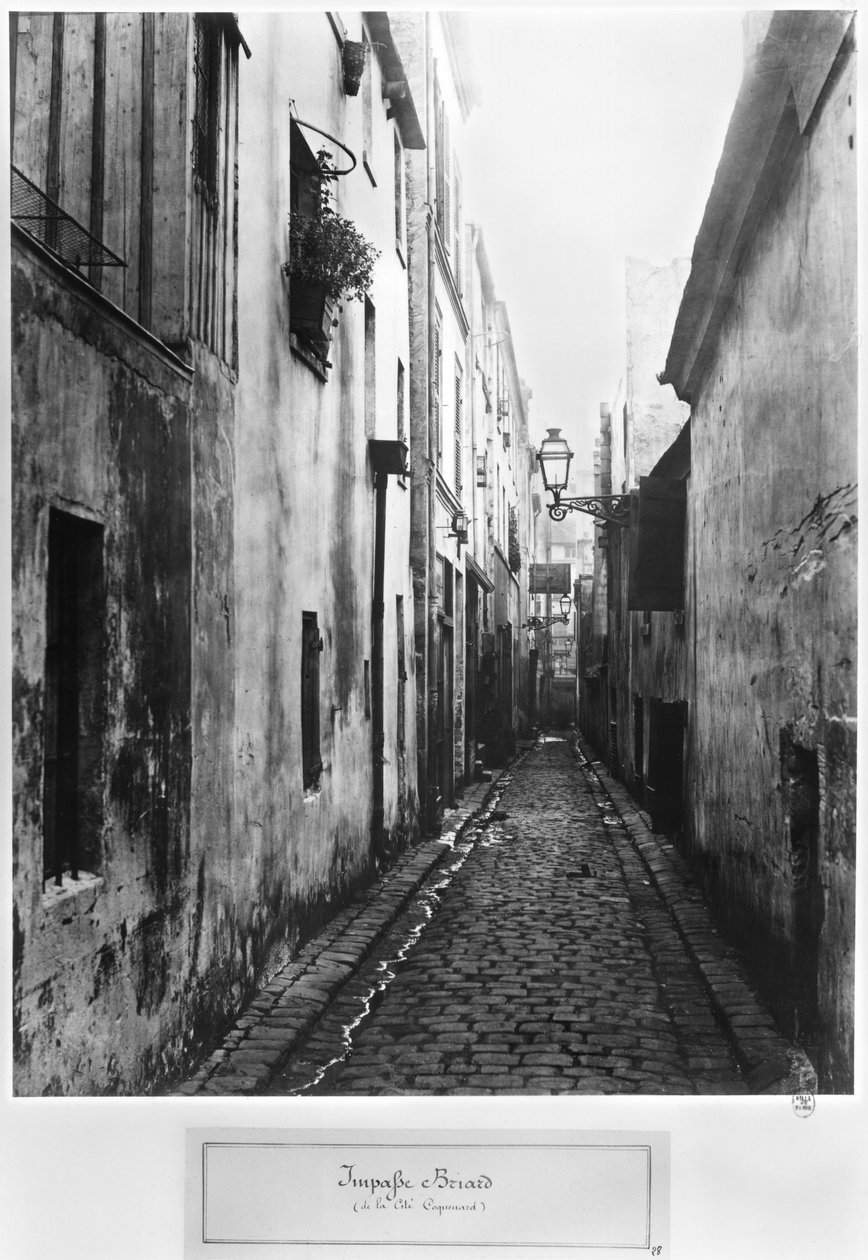Impasse Briard, fra siter Coquenard, Paris, 1858-78 av Charles Marville