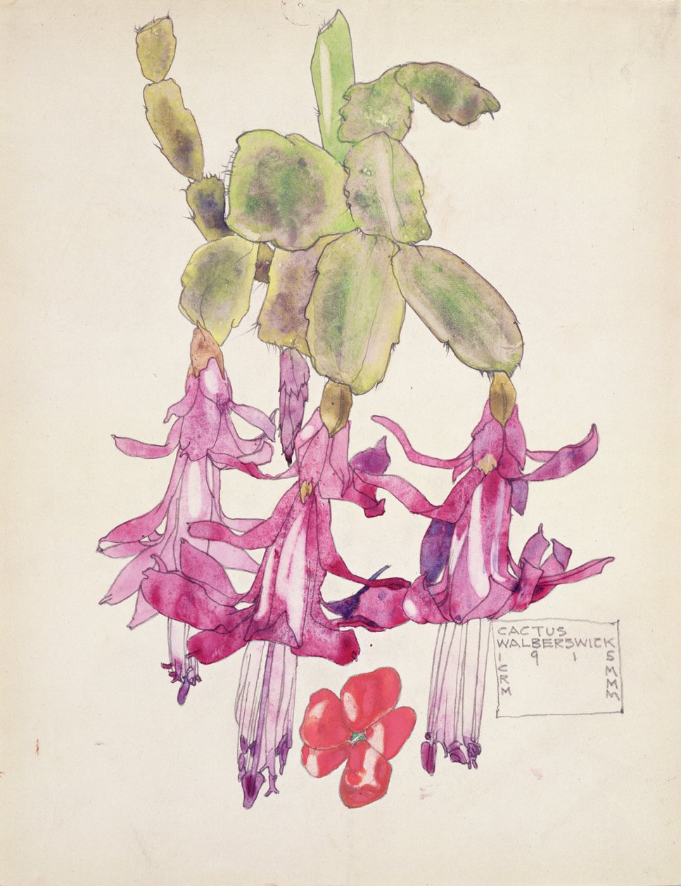 Kaktusblomst av Charles Rennie Mackintosh