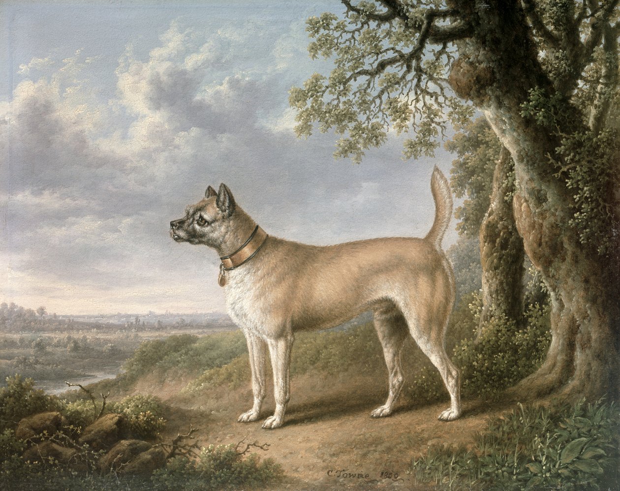 En terrier på en sti i et skogslandskap av Charles Towne