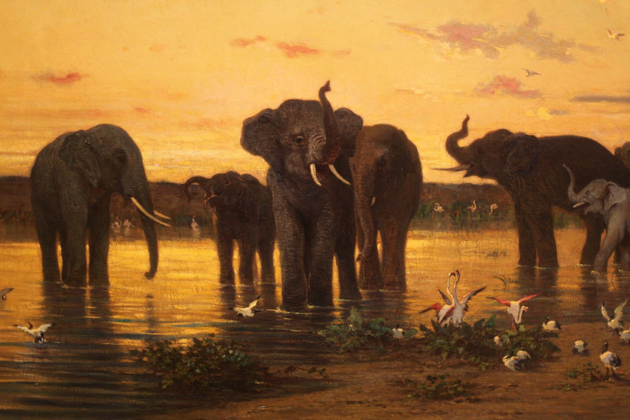 Afrikanske elefanter av Charles Émile de Tournemine
