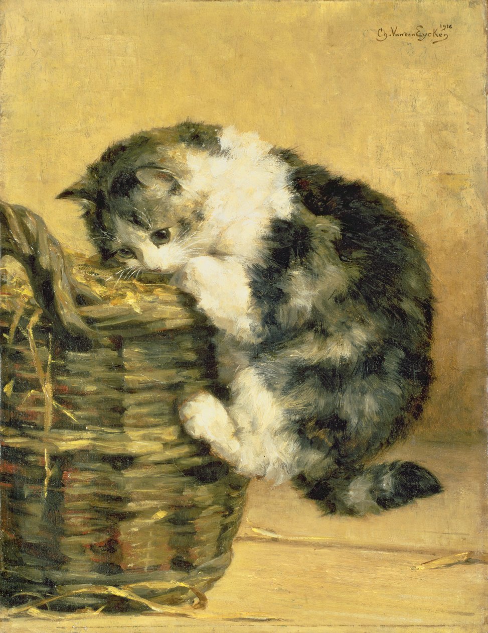 Katt med en kurv av Charles van den Eycken