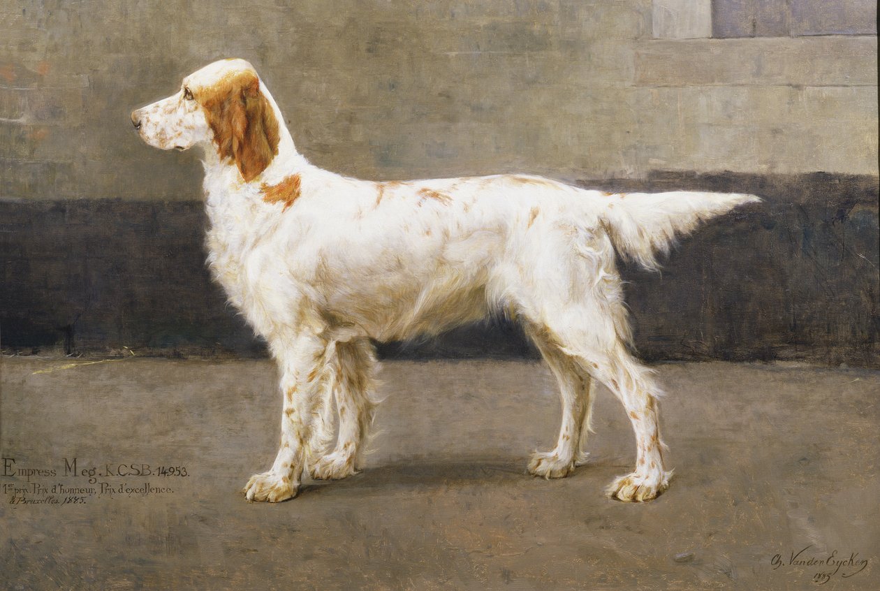 Keiserinne Meg, KCSB, 14953, 1885 (par til 378731) av Charles van den Eycken
