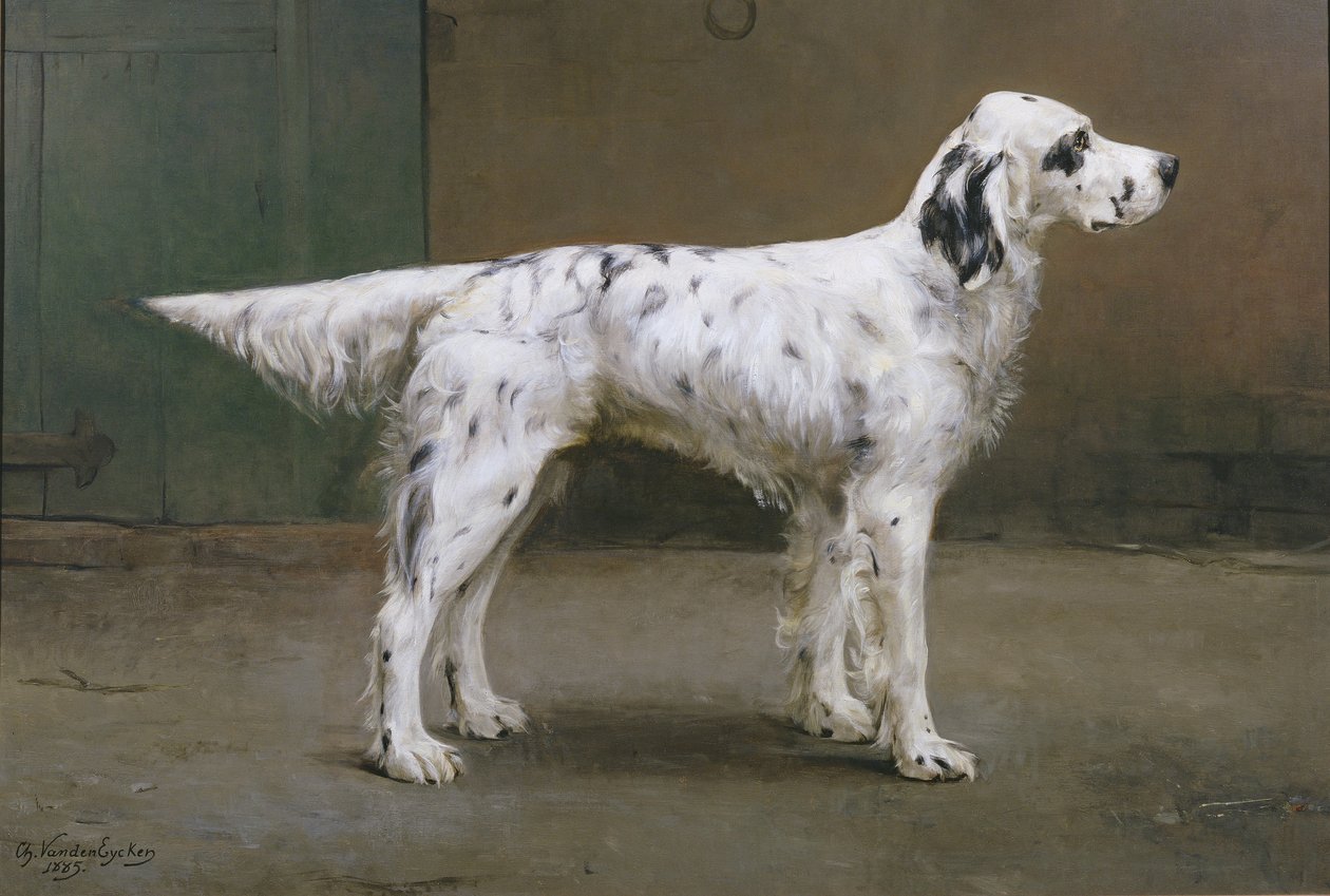 Portrett av en hund, 1885 (par til 378730) av Charles van den Eycken