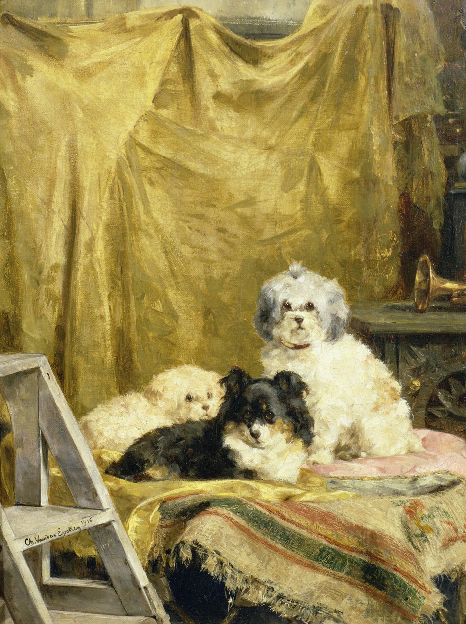 Tre hunder av Charles van den Eycken