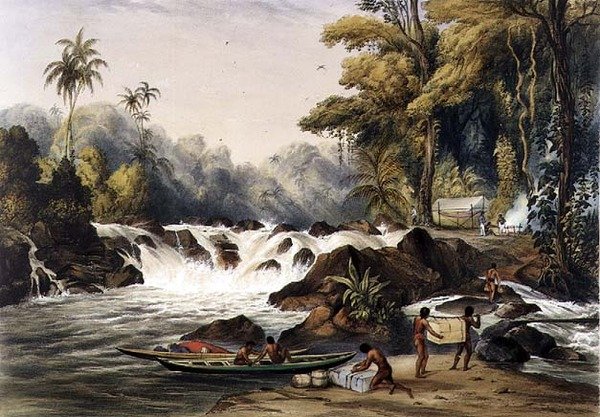 Christmas Cataract on the River Berbice, fra 