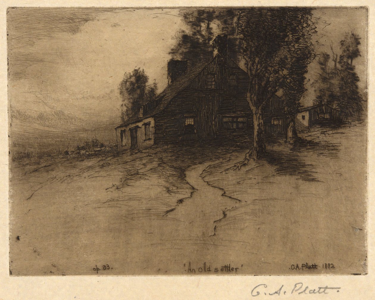 En gammel nybygger av Charles A. Platt