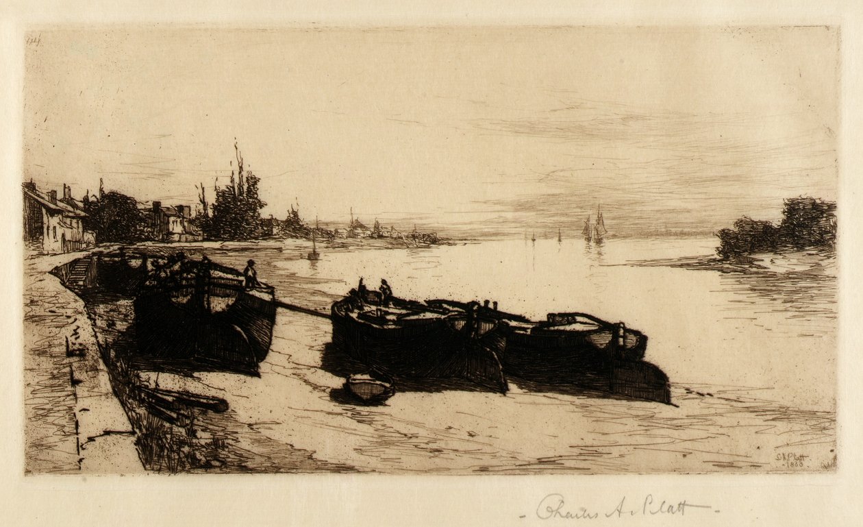  av Charles A. Platt