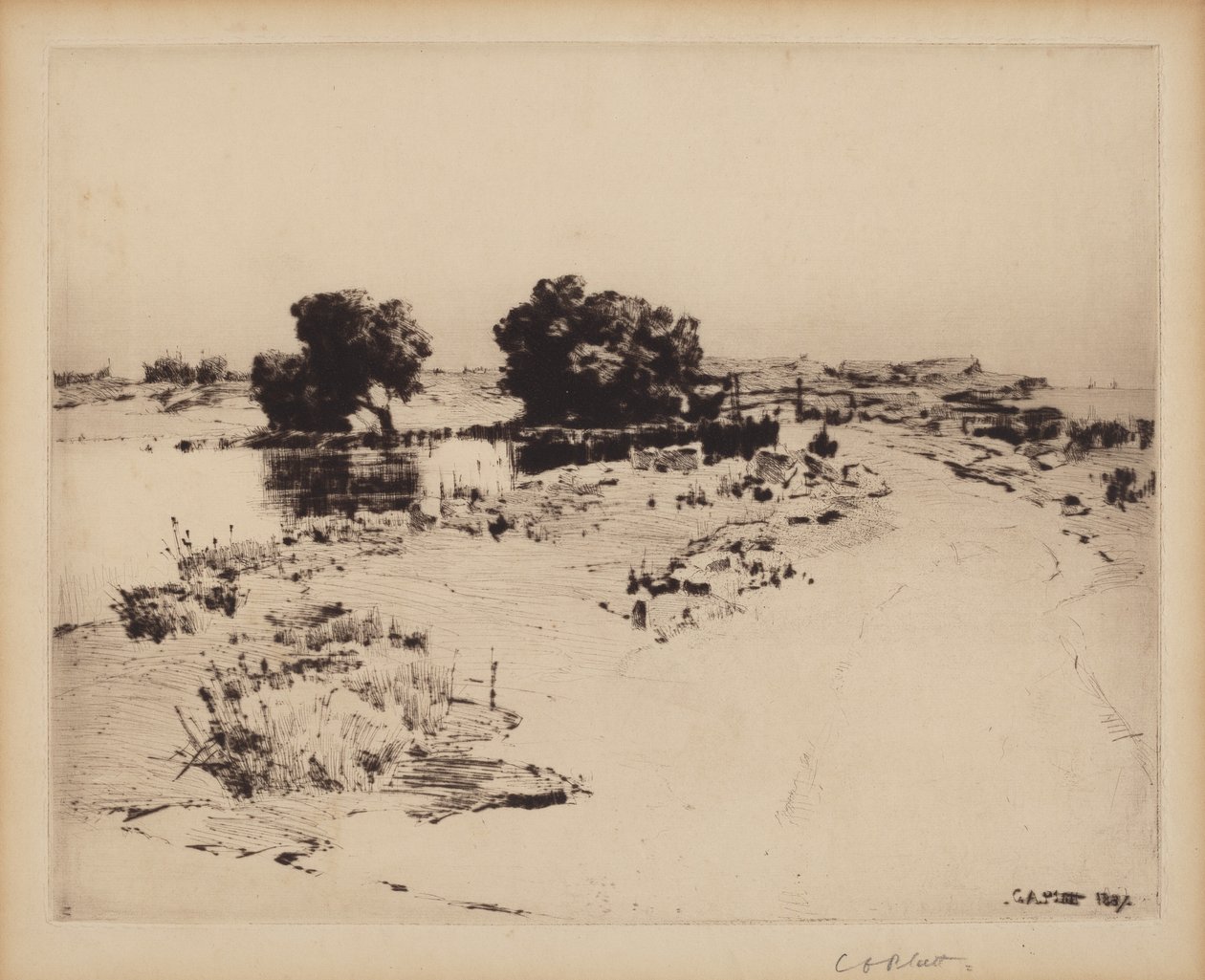 Cape Ann Willows av Charles A. Platt